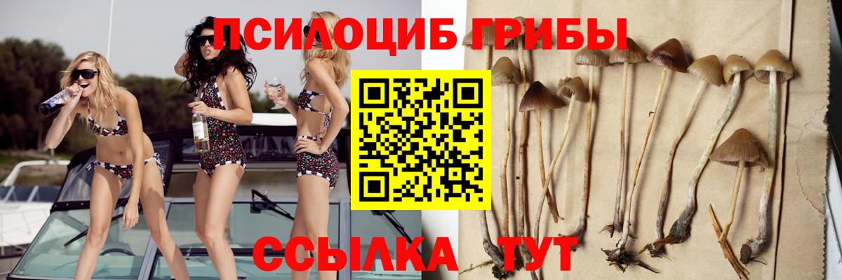 наркота  Галлюциногенные грибы мухоморы  Вход с VPN  Артём  Псилоцибиновые грибы Psilocybe 