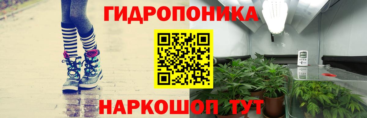 Бошки марихуана сатива  Каннабис Amnesia  Бошки Шишки THC 21%  Артём  Вход с VPN 